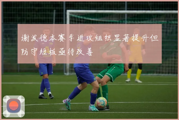 谢泼德本赛季进攻组织显著提升但防守短板亟待改善